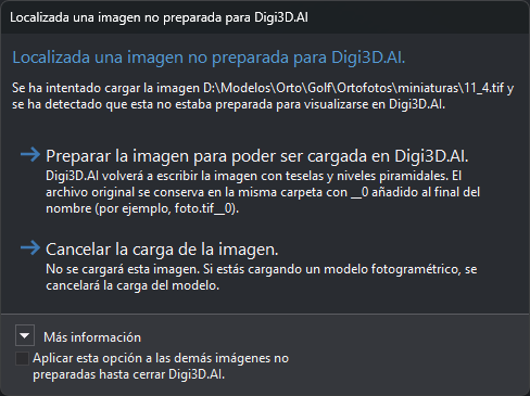 Cuadro Localizada una imagen no preparada para Digi3D.AI
